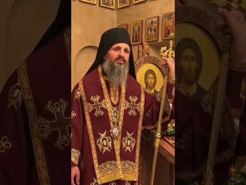 † მეუფე საბა ინწკირველი - გამჭვირვალობის კანონთან დაკავშირებით †